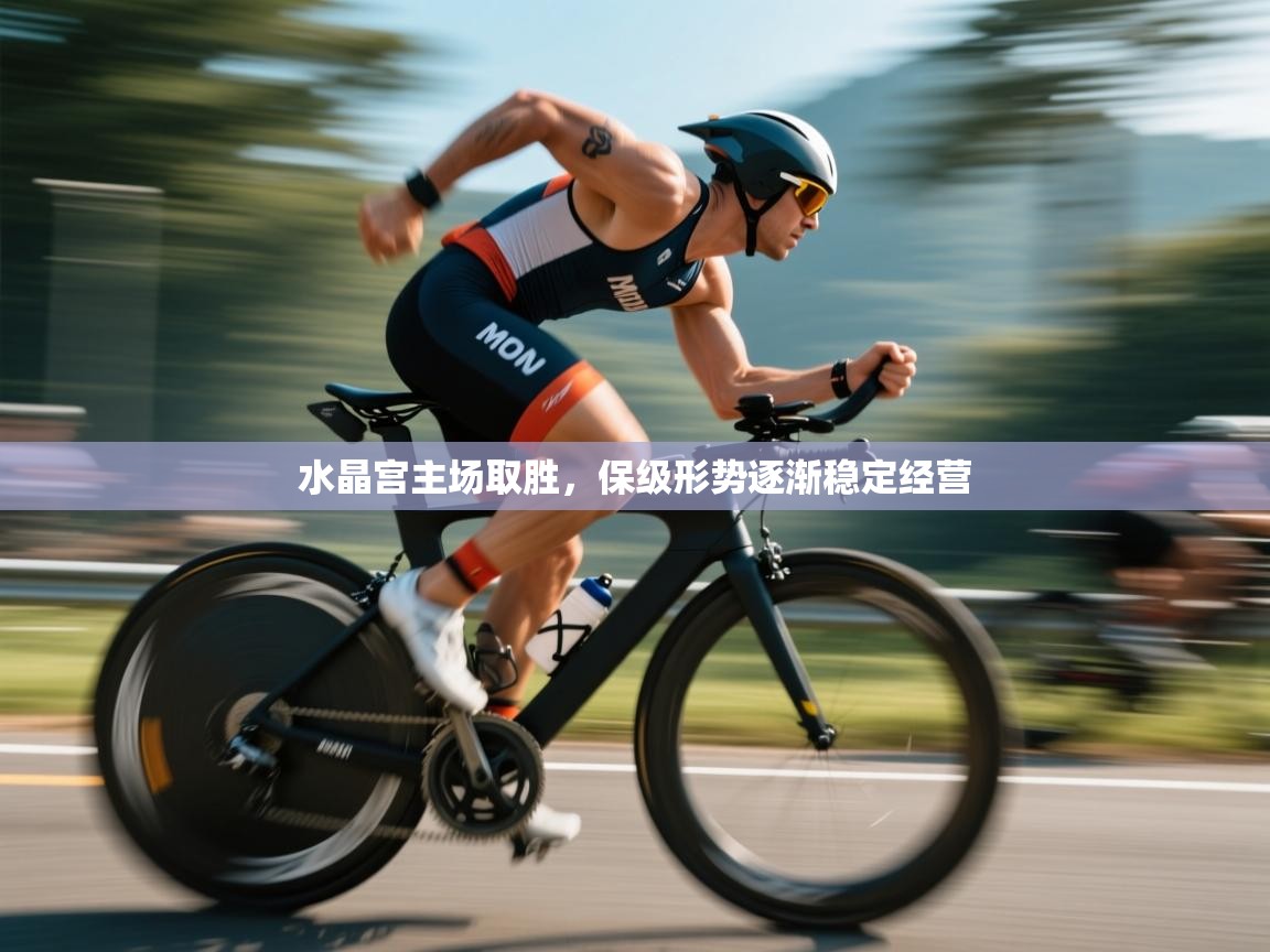 水晶宫主场取胜，保级形势逐渐稳定经营  第1张