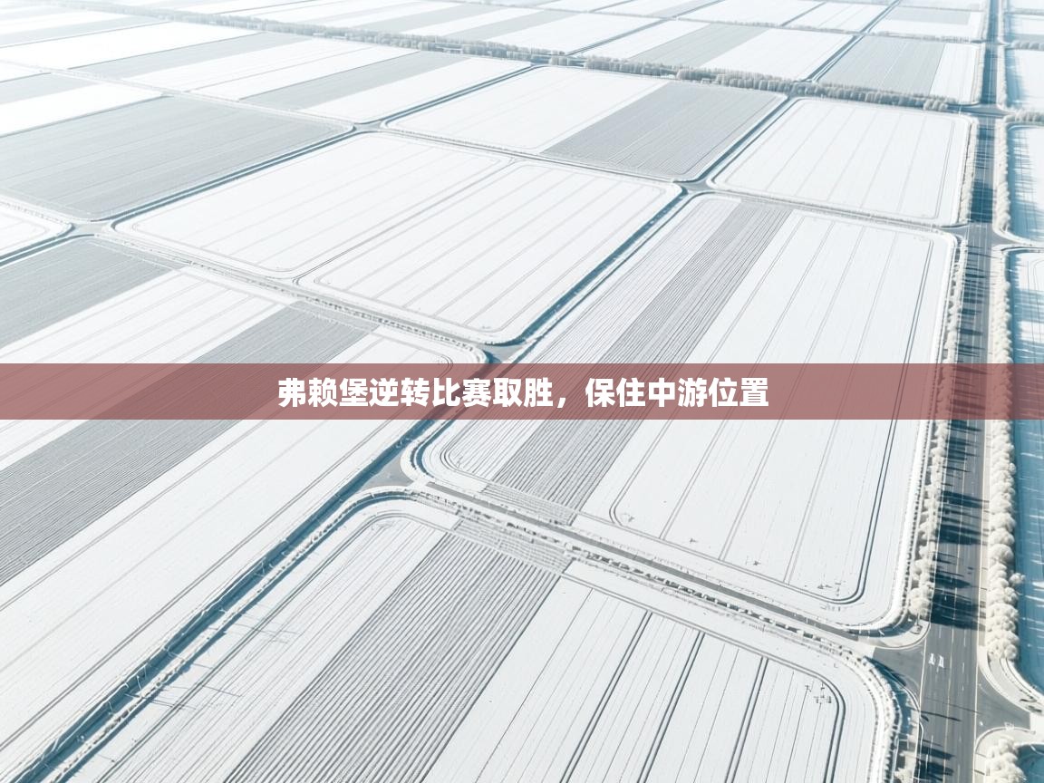 弗赖堡逆转比赛取胜，保住中游位置