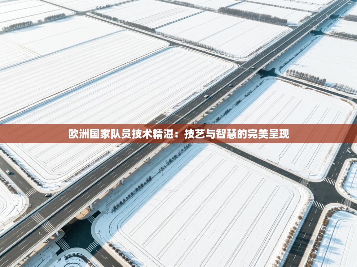 欧洲国家队员技术精湛：技艺与智慧的完美呈现  第1张