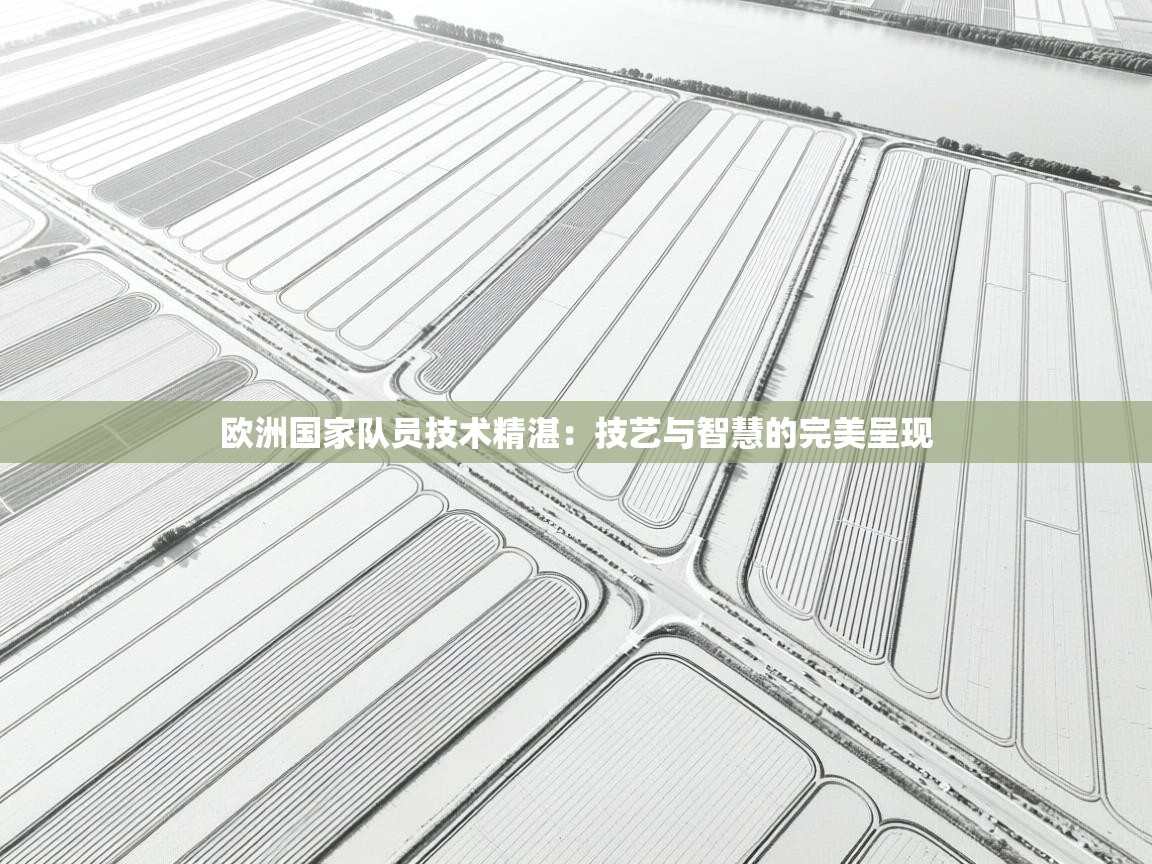 欧洲国家队员技术精湛：技艺与智慧的完美呈现  第2张