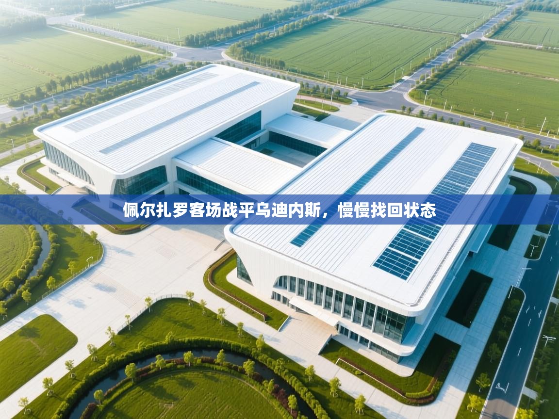 佩尔扎罗客场战平乌迪内斯，慢慢找回状态