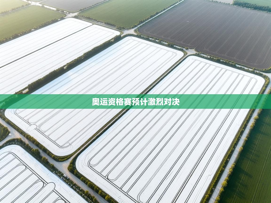 奥运资格赛预计激烈对决